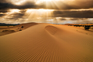 Sunset over the sand dunes in the desert. Arid landscape of the Sahara desert