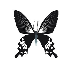 Vector illustration of silhouette butterfly cartoon on white background - 415989105