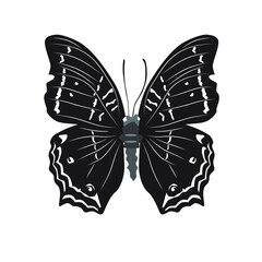 Vector illustration of silhouette butterfly cartoon on white background - 415989336
