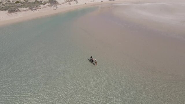 Three friends walking on coast water on paradise deserted beach