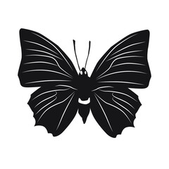 Vector illustration of silhouette butterfly cartoon on white background - 415989709