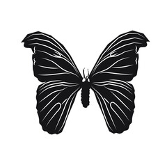 Vector illustration of silhouette butterfly cartoon on white background - 415989773