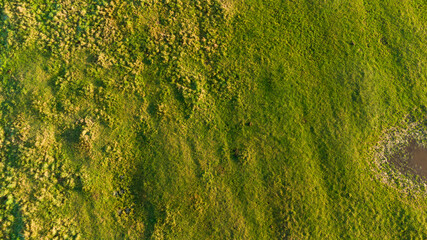 Fototapeta premium Meadow in autumn aerial view