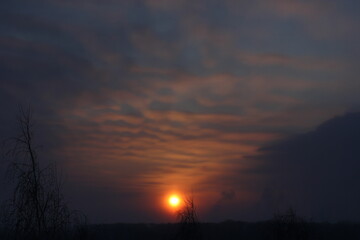 the rising sun on the horizon with colored wavy clouds