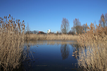 teich in parkanlage im hintergrund industriegebäude