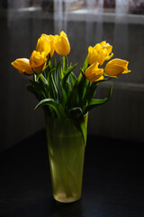 yellow tulips in a vase by the window. postcard