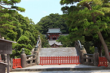 鎌倉の夏　鶴岡八幡宮