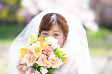 Fototapeta premium 満開の桜 桜の背景 ウエディング 日本人の花嫁のポートレート 新婦 結婚式前撮り写真