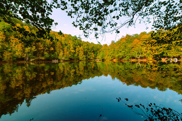 Fototapeta na wymiar Landsape of the lake in the forest