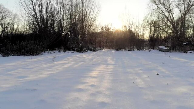 Tracking shot of the golden ray sunset in a snow white winter garden