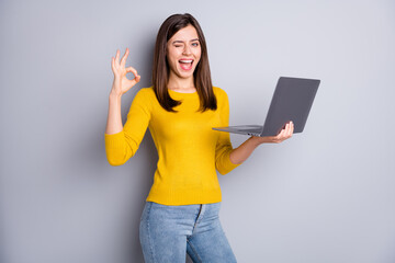 Portrait of lovely glad cheerful girl holding in hands laptop showing ok-sign winking advice...