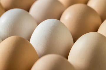 Rows of chicken eggs close-up, side view. Chicken egg texture.