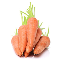 fresh carrot on white background 