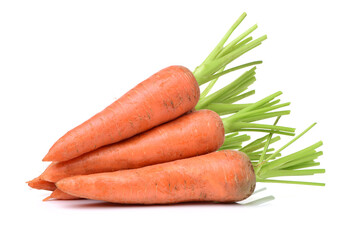 fresh carrot on white background 