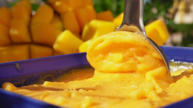 The spoon is scooping frozen mango ice-cream gelato on the background of the fresh ripe delicious mango