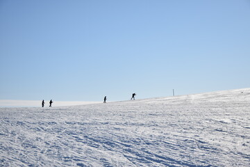 landscape with snow