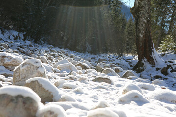 Flussbett im Winterschlaf im Nationalpark Berchtesgaden