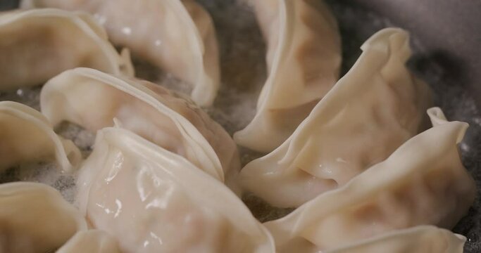 Grilling japanese dumpling on fry pan