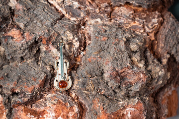 Decoration in the form of a violin of bronze and amber against the background of birch log