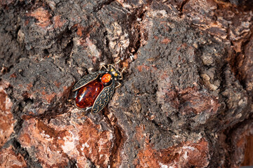 Suspension in the form of a beetle of bronze and amber on a wooden background