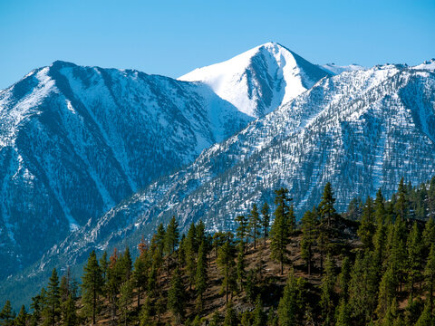 Humboldt Toiyabe National Forest  Nevada