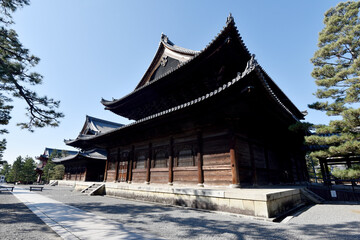 Obraz premium 妙心寺 法堂 京都市