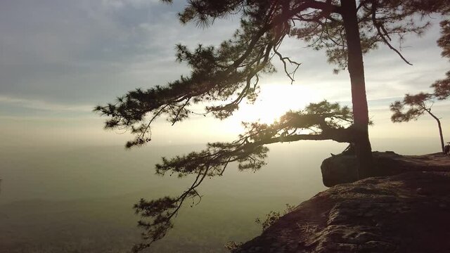 Lomsak Cliff at Phu Kradueng national park in Thailand

