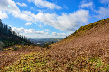 Cambrian Mountains Landscape in Springtime.