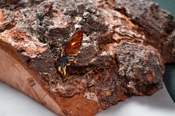 Decoration in the form of a fairy of bronze and resin against the background of a tree. High quality photo
