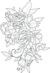 Realistic mix flower bouquet with anemone, rose flowers and leafs sketch template. Cartoon vector illustration in black and white for game, background, pattern, decor. Coloring paper, page, story book