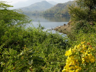 Fototapeta na wymiar Picturesque landscape at a lake near Ranakpur