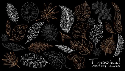 Big set of decorative tropical leaves. Hand drawing © Nadin_Koryukova