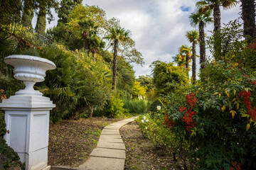 Yalta, Crimea, November 25, 2020, walk through the Nikitsky Botanical Garden, views of trees, flowers, palm trees