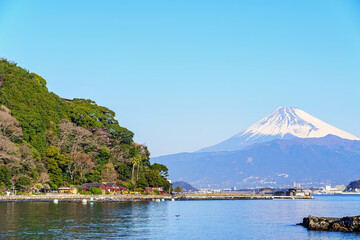 【静岡県】冠雪した富士山と駿河湾