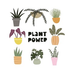 cartoon  plant, hand drawing lettering, decor elements. colorful vector illustration, flat style. plants. design for cards, print, poster, logo