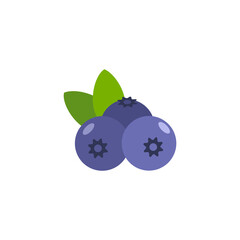 Blueberry In Flat Icon Style Isolated on a White Background - Fruits Icon Vector Illustration. 
