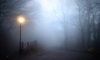 Garden poster Morning with fog Gaslamp on a fog covered road at dawn.  Dead winter trees create silhouettes along the road
