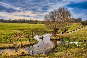 Small creek with willows near Bindeballe, Denmark
