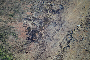 aerial view over the swamp