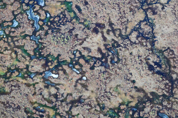 aerial view over the Riga gulf coast