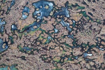 aerial view over the Riga gulf coast