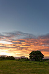 Clouds glowing orange at sunset on a Summers evening looking across a well tended Pasture with a wooden Field Shelter set within it.