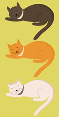 Cute cat sleeps curled up in a ball. Gray (black), orange (red), white cat. Vector set of flat cartoon illustrations