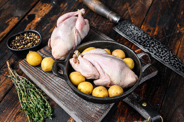 Uncooked raw quails ready for cooking in a pan. Dark wooden background. Top view