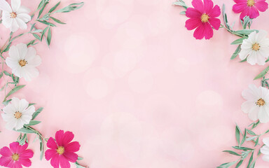 Fototapeta premium Composition from summer flowers. Kosmey flowers on pastel pink background.