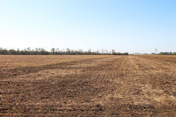 Plowed field and good weather