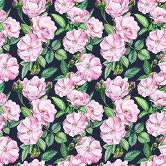 Seamless patterns of branches of roses, buds and leaves on an isolated background. Watercolor flowers