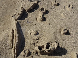 Exceptional geological 