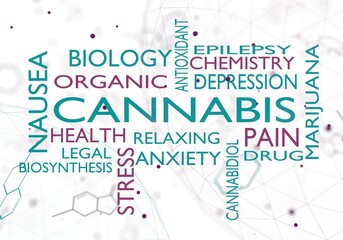 Cannabis theme words cloud. Medical marijuana concept. 3D rendering