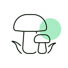 Forest mushrooms with a green grass vector icon